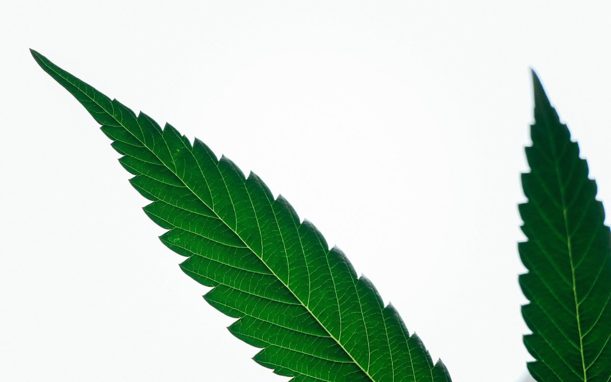 Adicción al cannabis